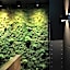 The Black Boutique -- Turistea Suites