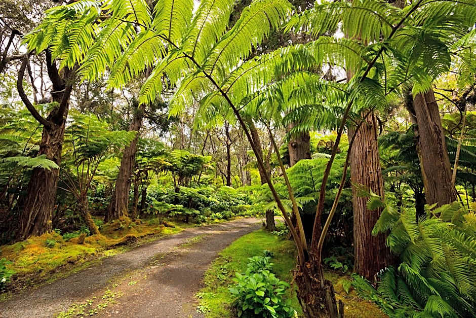 Hale 'Ohu Bed & Breakfast