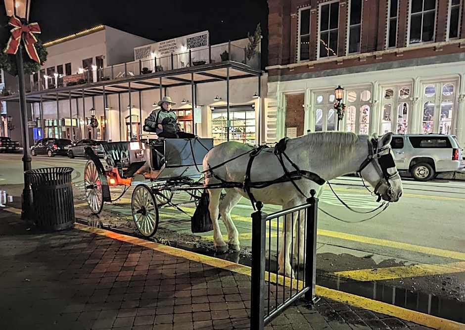 The 1890 Freeman House