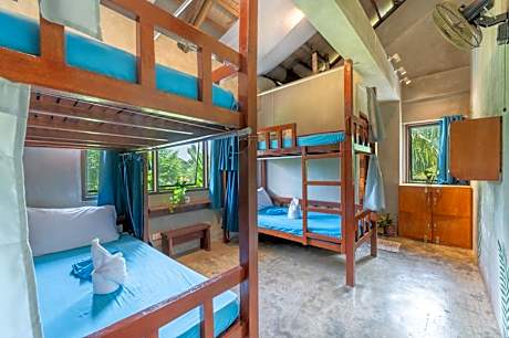 Bunk Bed in Mixed Dormitory Room