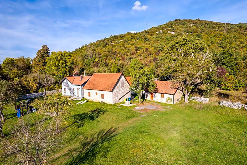 SOKOL - Secret forest house