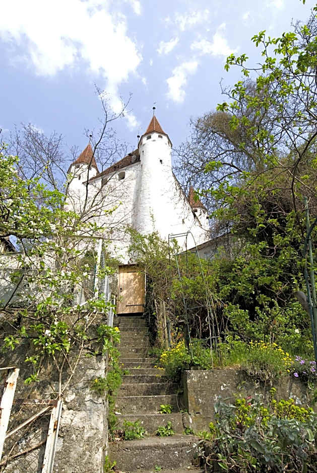 Hotel Restaurant Schwert Thun