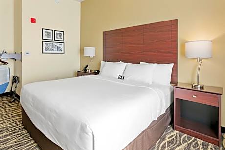 King Room with Roll-In Shower - Disability Access