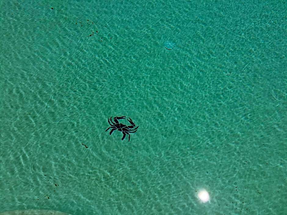 Anchored Inn at Hidden Harbor