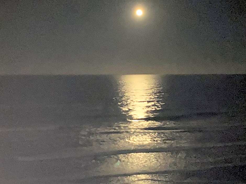 Ponce Inlet Florida Breathtaking Oceanfront Penthouse Villa!