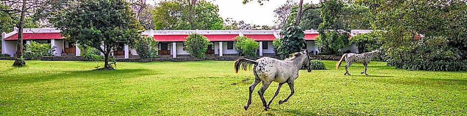 Ngare Sero Mountain Lodge