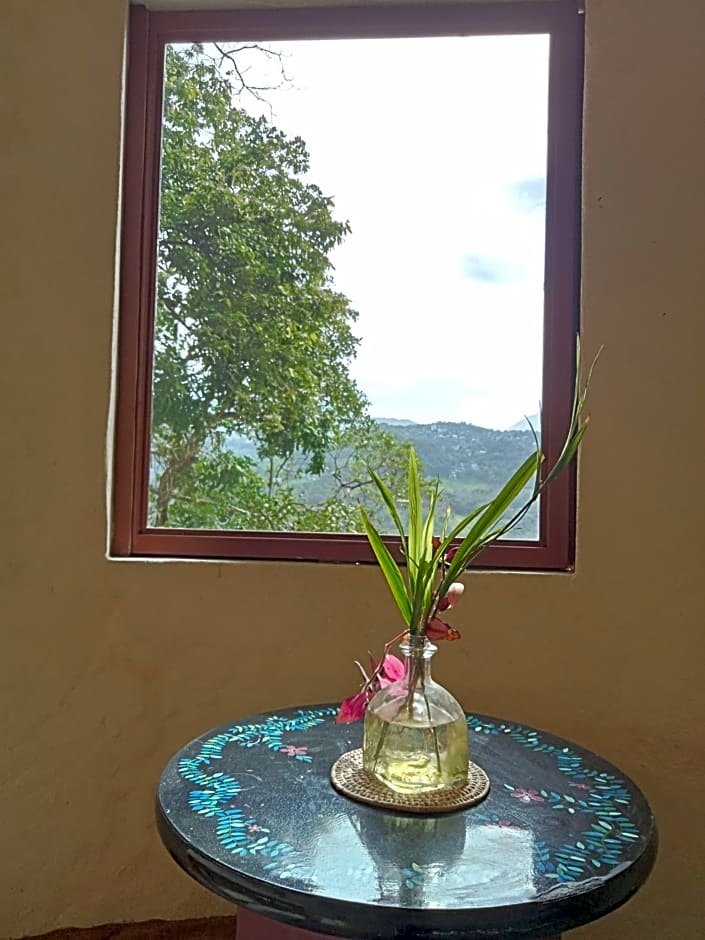 Casa Musgo