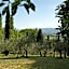 Villa Degli Ulivi