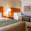 Comfort Inn Metro Airport Romulus