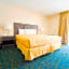 Royal Plaza Inn