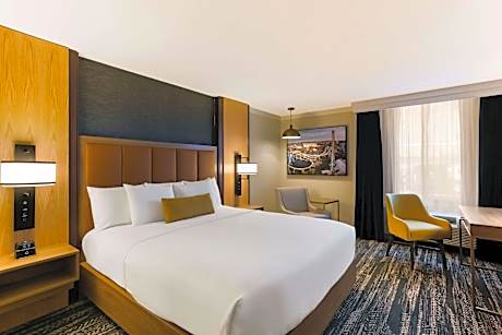 King Room with Mobility Accessible Roll-In Shower