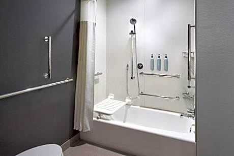 One-Bedroom King Suite with Sofa Bed