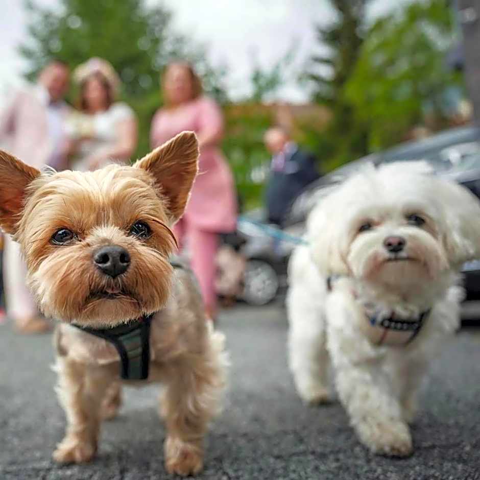 My Story Sopot Apartments