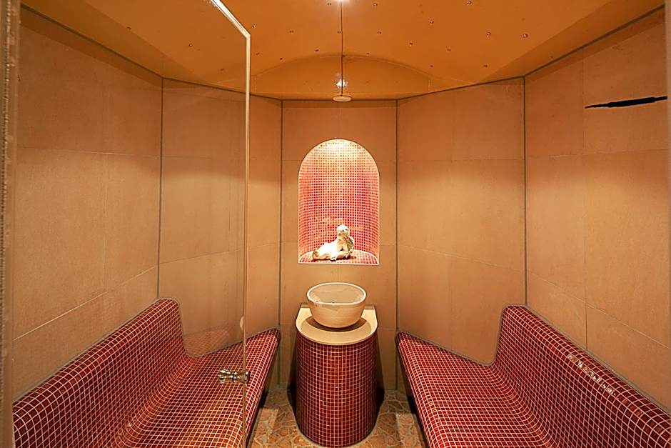 Alpine Lifestyle Berghotel Madlener