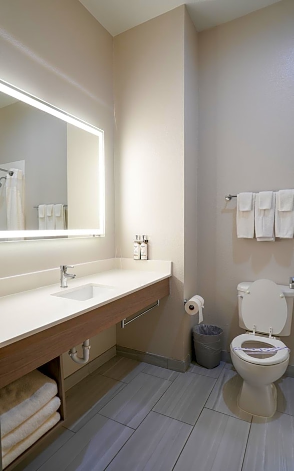 Holiday Inn Express Hotel & Suites Cedar Hill By IHG