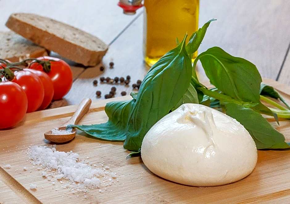 ibis Marseille Centre Gare Saint Charles