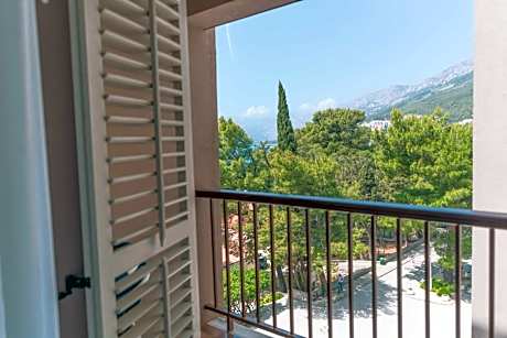 Standard Single Room with Mountain View
