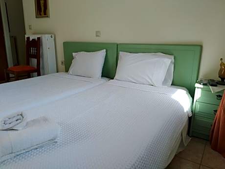 Double or Twin Room with Mountain View