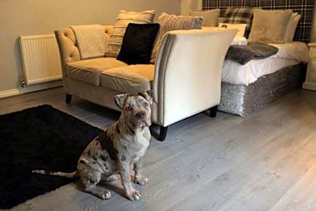 Classic King Garden Ground Floor (dog friendly)