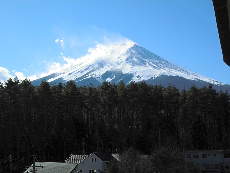 Evergreen Fuji
