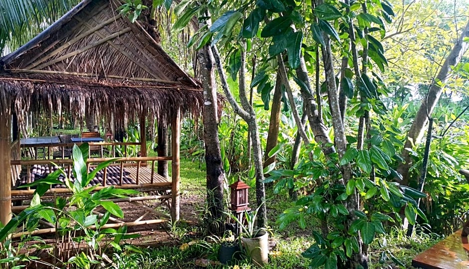 Tung Tong Homestay & Camping