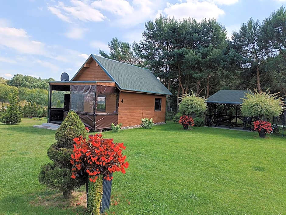 Foto 1 di 24 di Bungalow