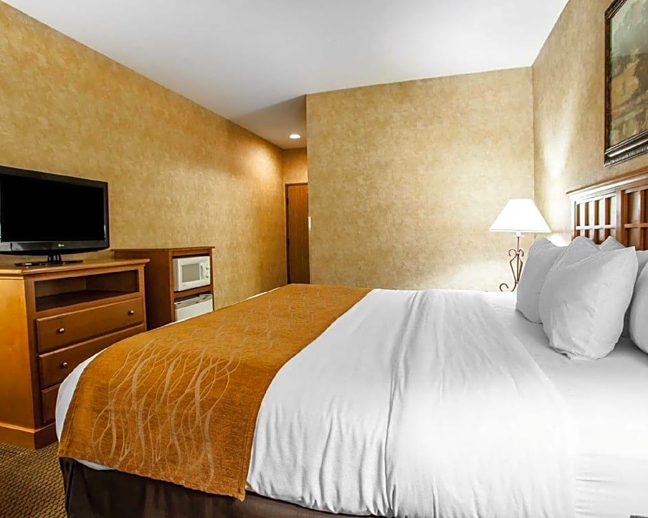 Comfort Inn & Suites Macon