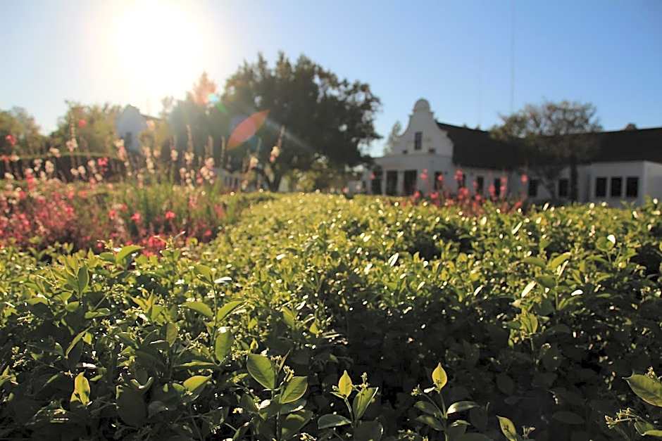 Kievits Kroon Country Estate and Spa