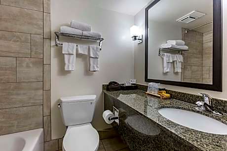 Oversized Suite-1 King Bed