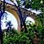 The Frogs House - Yoga Retreat