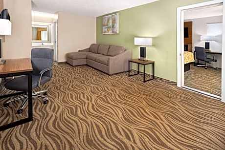 One-Bedroom King Suite - Non-Smoking