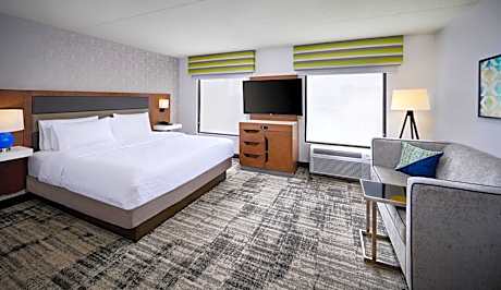 1 King Bed Studio Suite Nonsmoking