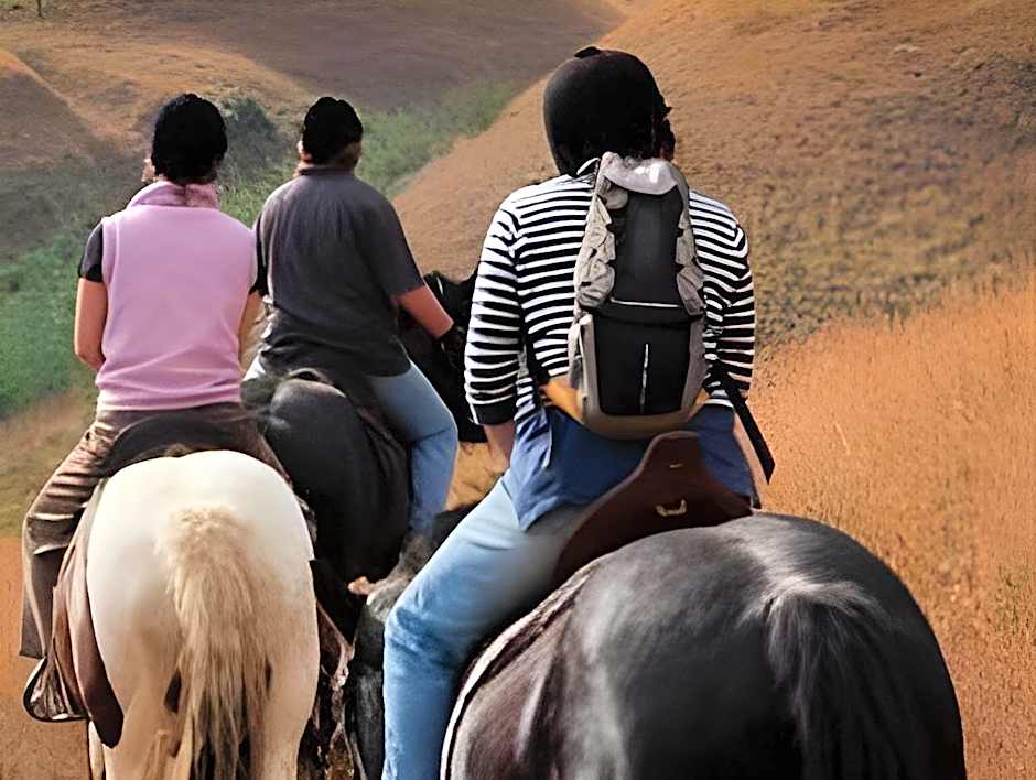 Shamrock Arms Guest Lodge