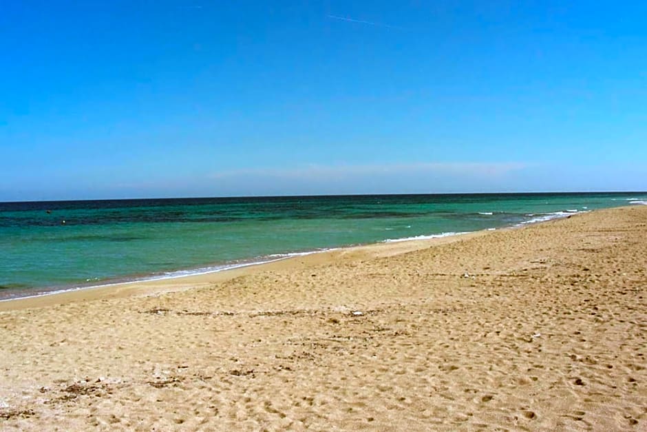 GALLERY ART - Sea View