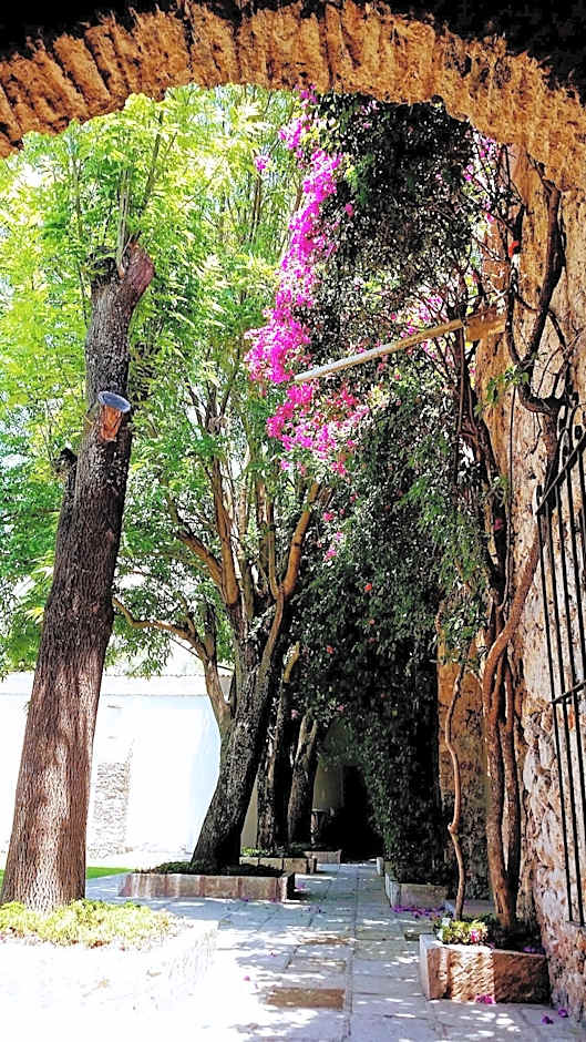 Collection O Hacienda El Salitre