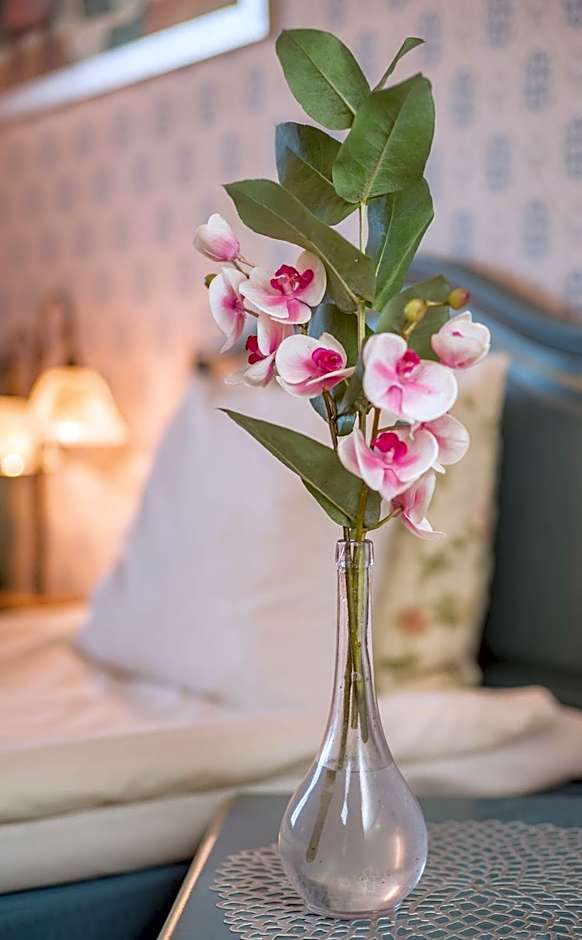 Wasa Park Hotel