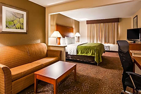 1 Queen Bed, Suite, Nonsmoking