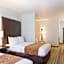 Comfort Suites Mandeville - Covington