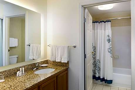 Suite, 1 Bedroom, Non Smoking (1 Queen Bed and 1 Double Sofa Bed)