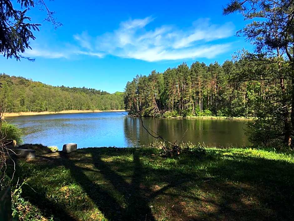 Domek z bali Tryszczyn nad Brdą
