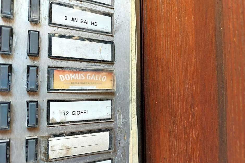 Domus Gallo Guest House