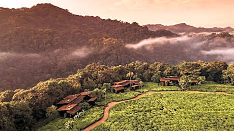 One and Only Nyungwe House