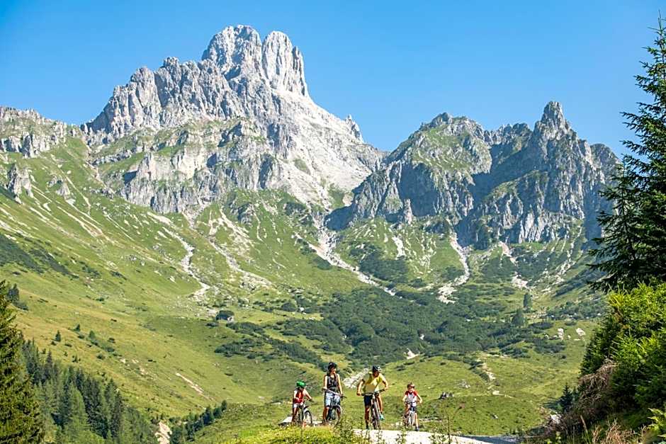 Die Filzmooserin - smart living apartments in Filzmoos, Filzmoos Card inklusive