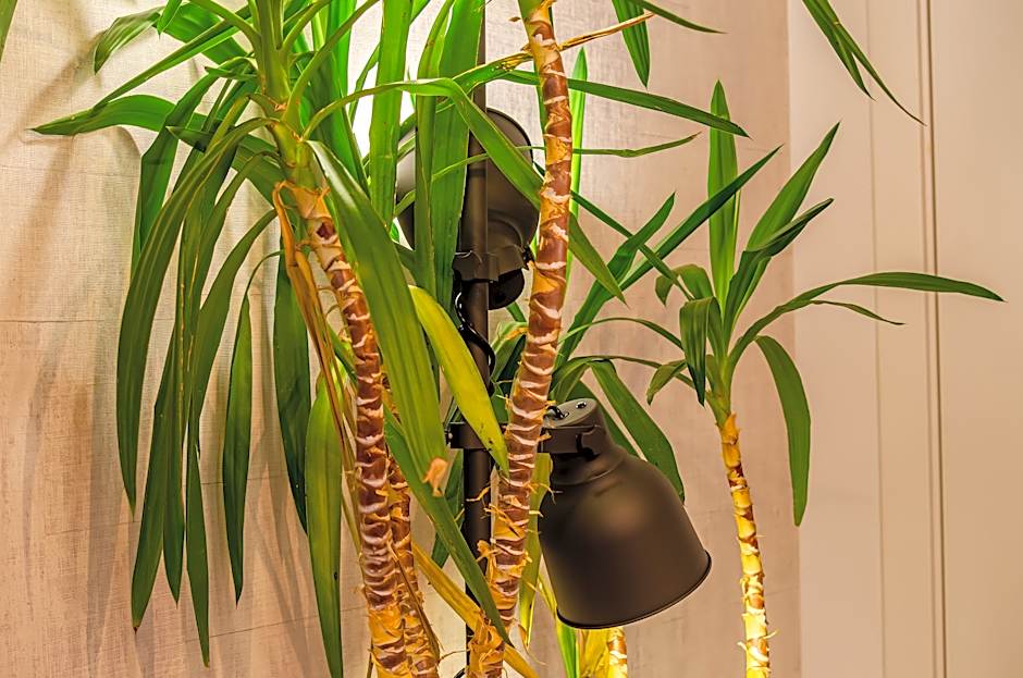 LX51 Studios & Suites by APT IIN - Lisbon Center