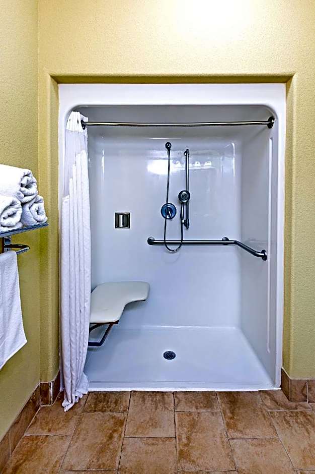 Holiday Inn Express Hotel & Suites Amarillo East By IHG