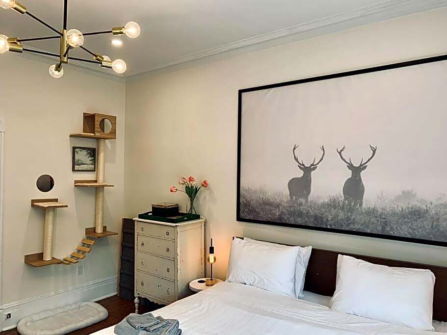 Pet-Friendly Space #3 at Doggy Digs, King Bed and Office