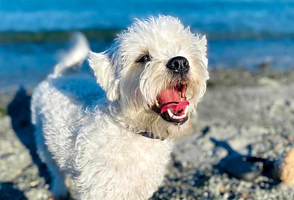 Coast Fort St John Hotel