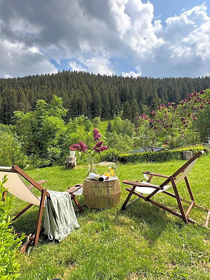 Black Forest Dream Apartments