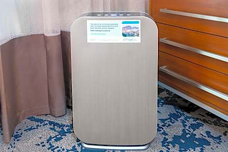 2 Room Suite-1 King Bed-pure Allergy Friendly