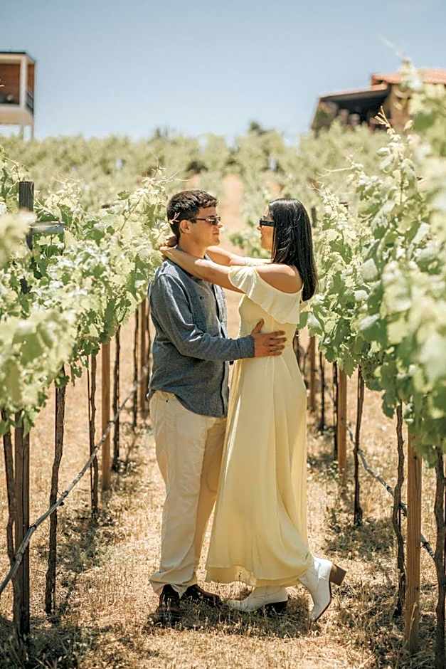 Quinta Nicolás Valle de Guadalupe